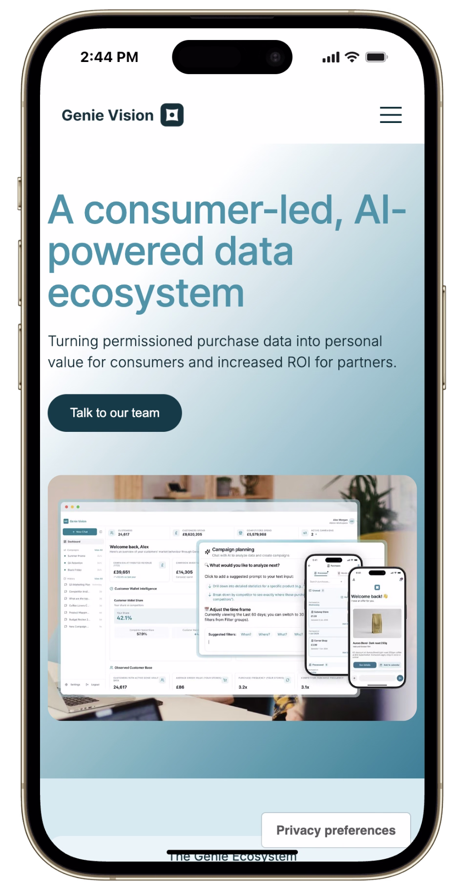 Genie Vision brand application
